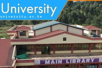Kisii University