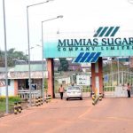 mumias sugar