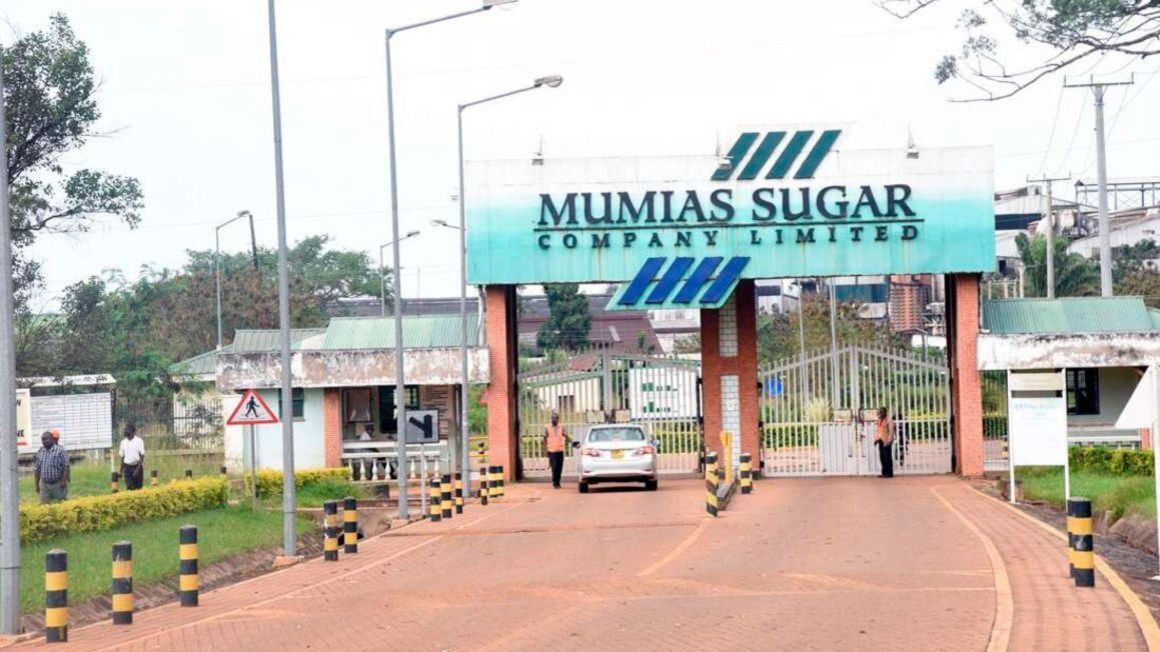 mumias sugar