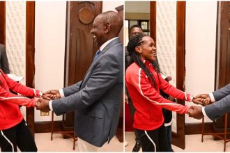 diplomatic passports